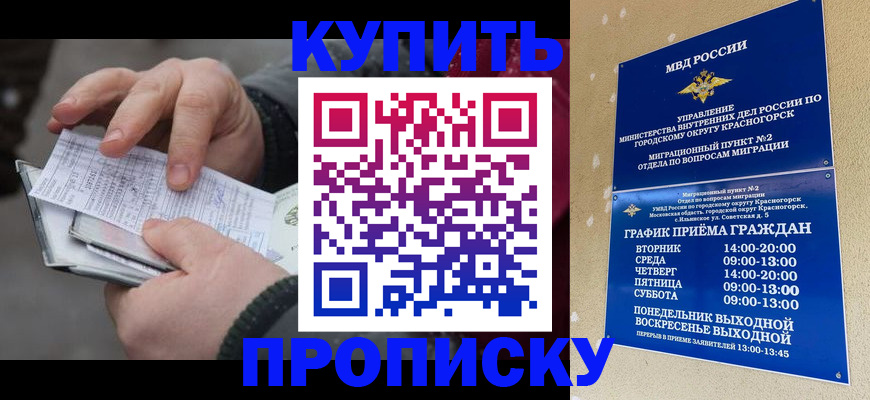временная регистрация недорого в Тереке